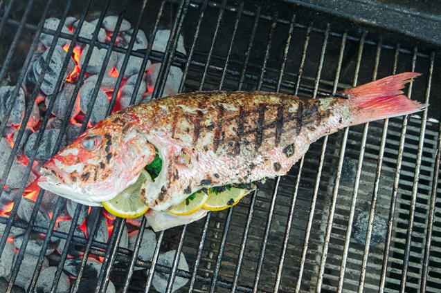 Tips til grill af fisk og skaldyr