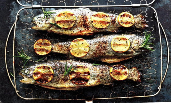 Forel med citron og rosmarin – brug grillABC.dk